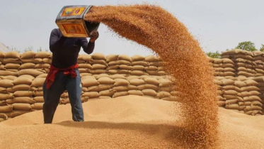 Rice battle heats up as India-Pakistan lift export curbs